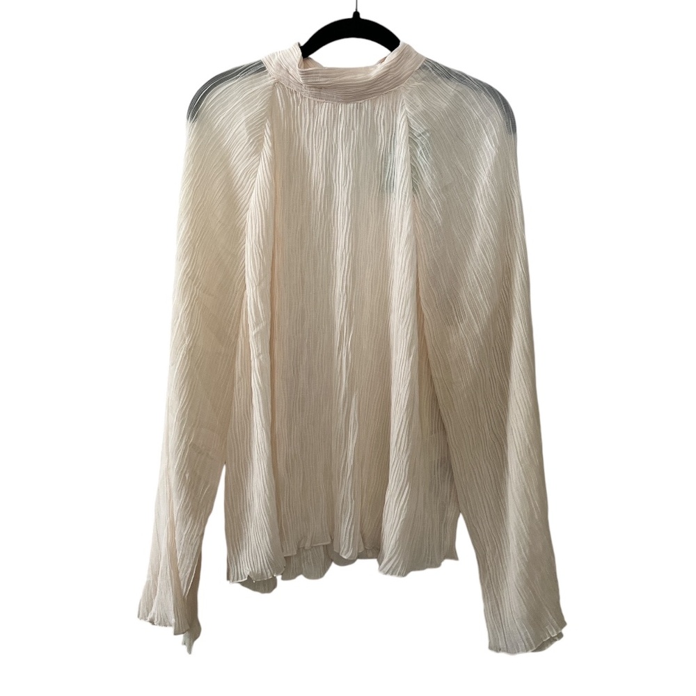 H&M Sheer Long Sleeve Top